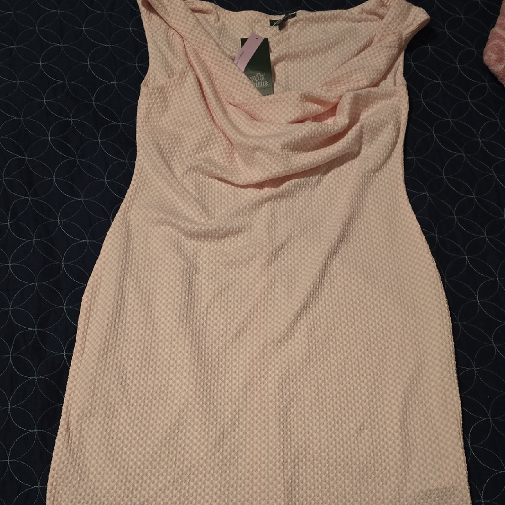 Wild Fable Soft Pink Mini Dress